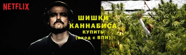 амф Бронницы