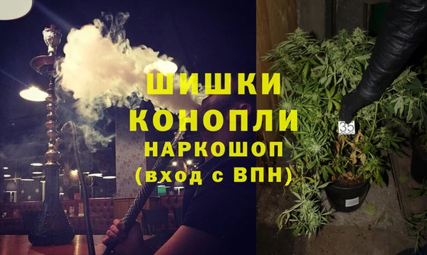 амф Бронницы