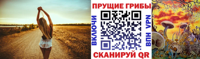 Псилоцибиновые грибы мухоморы  Нижний Новгород 